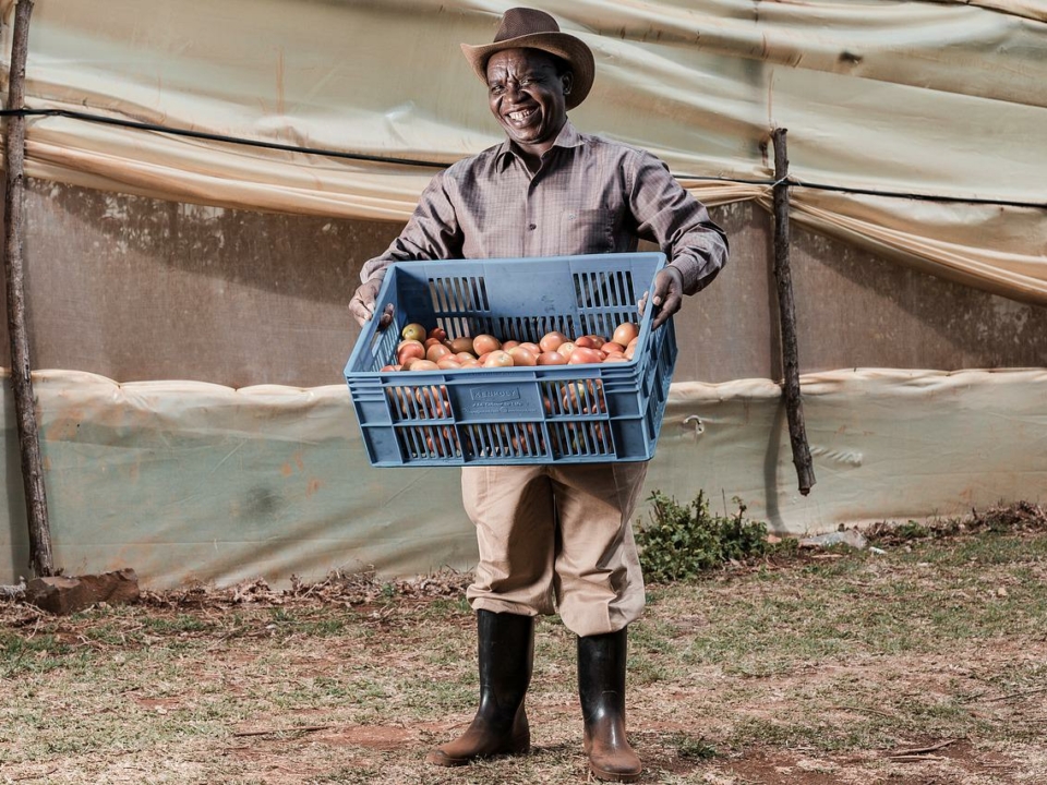 africa worker