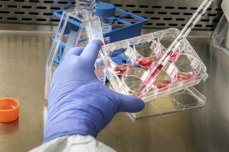 Rawpixel laboratory test