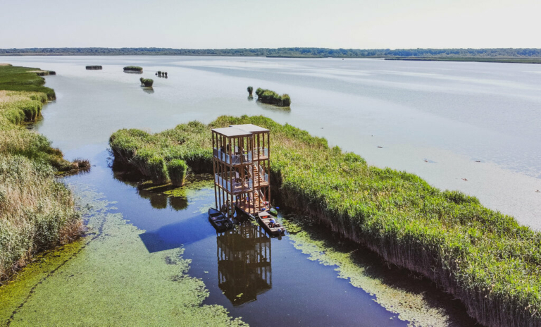 Lake Tisza