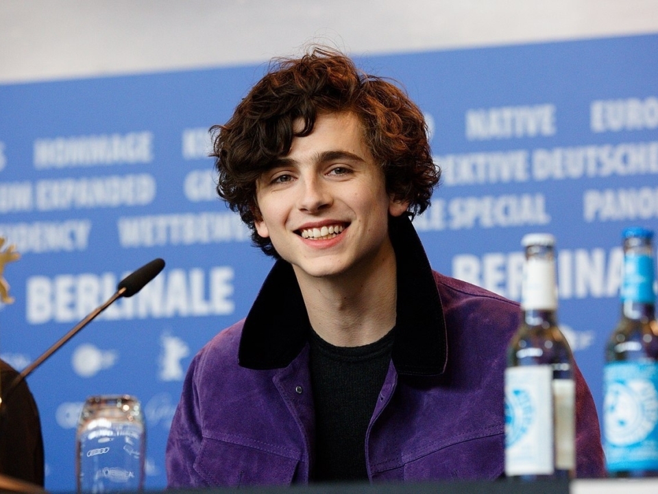 timothée chalamet