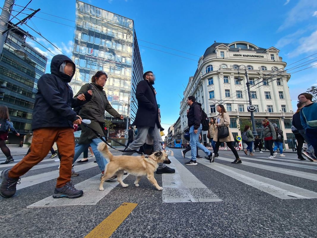 Budimpešta Mađarska ljudi građanin ulica konkurentnost eu
