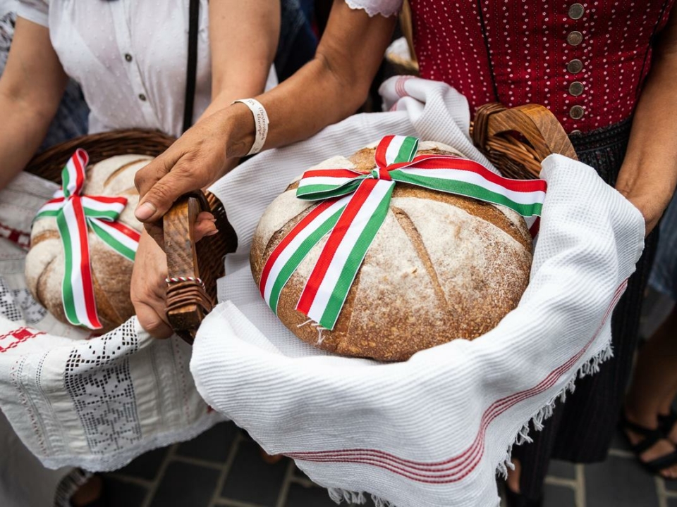 kruh mađarski