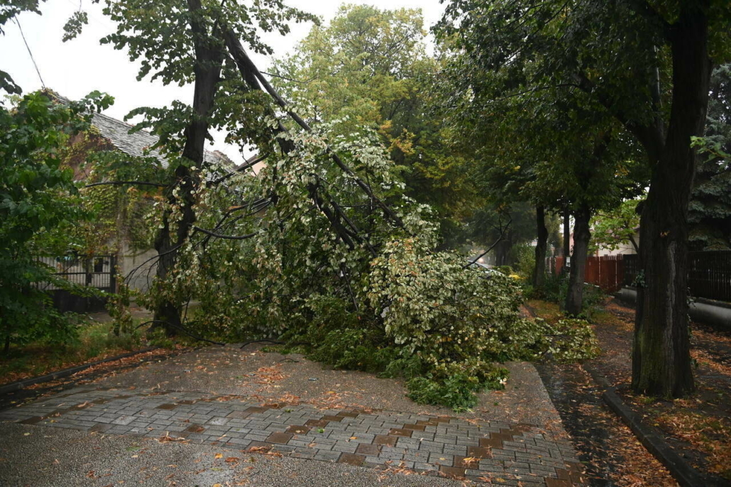 budapest heavy rainstorm