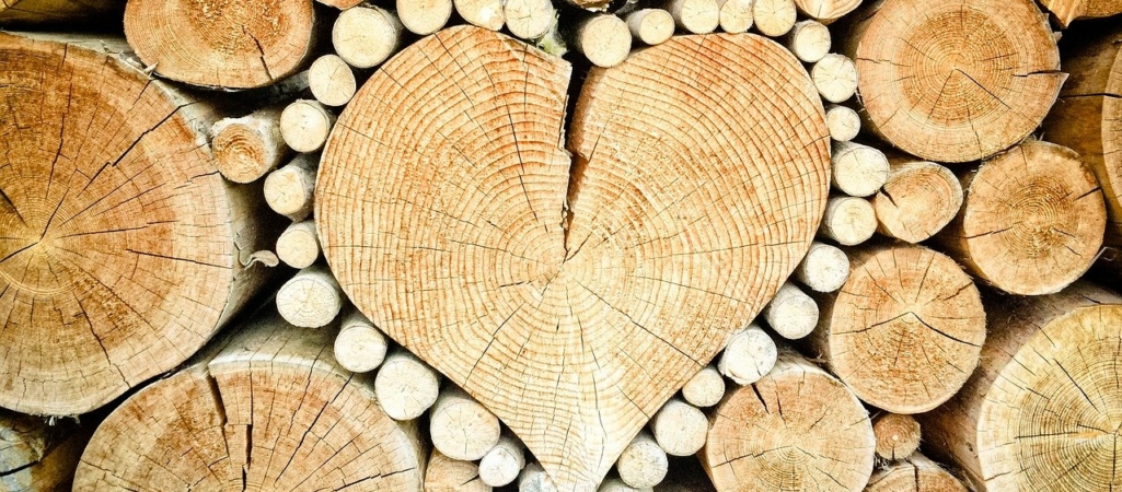 corazón de madera