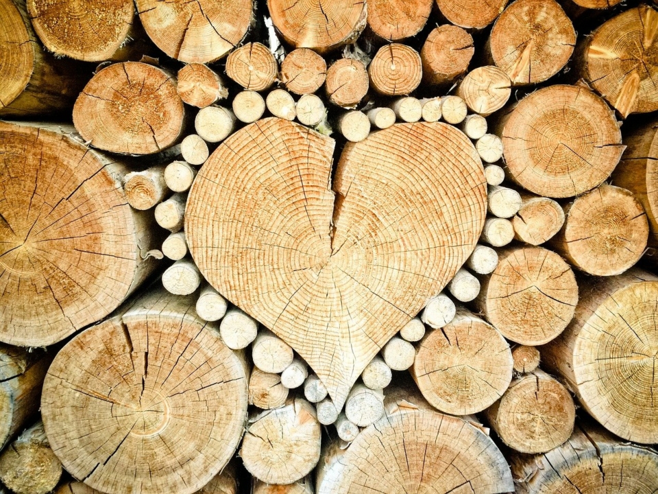 srce drvo
