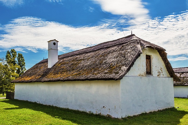 Adobe house