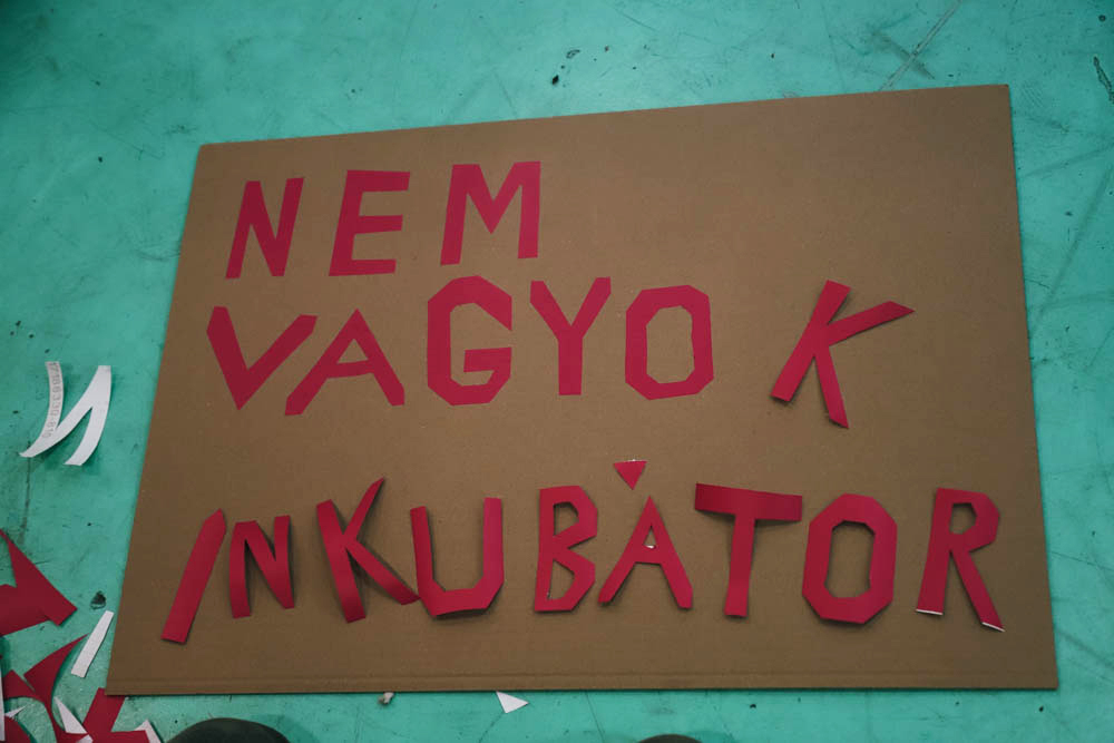 nem vagyok inkubátor transparent