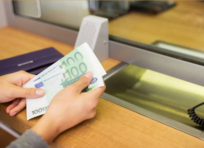 Spontaneous euroisation Hungarian forint exchange rate