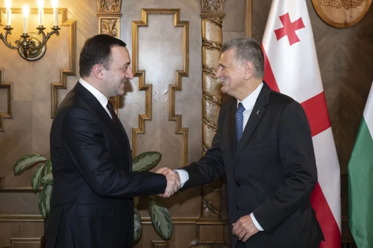 Hungría Georgia cooperación comercial