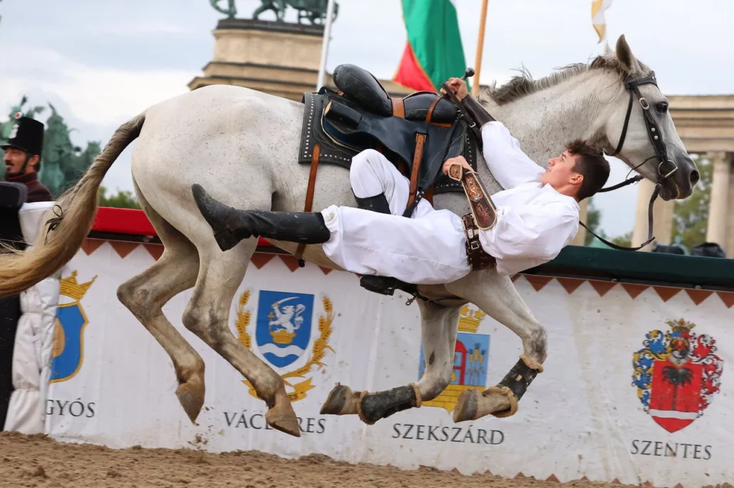 Ungaria călărie din Győr