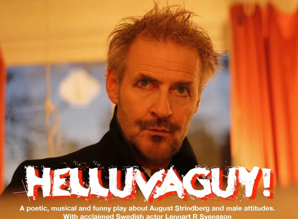 Шведська гра Helluvaguy