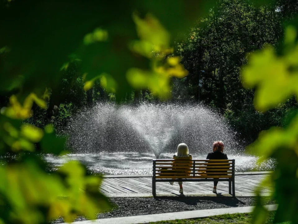 Weather Hungary green tree fountain