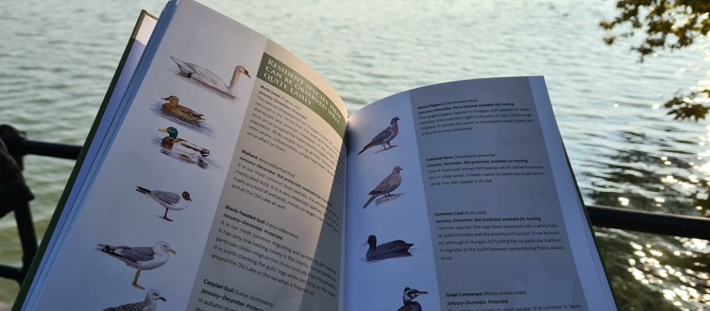 guide des oiseaux tata