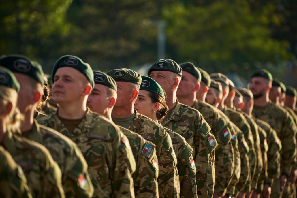 hungarian defence forces