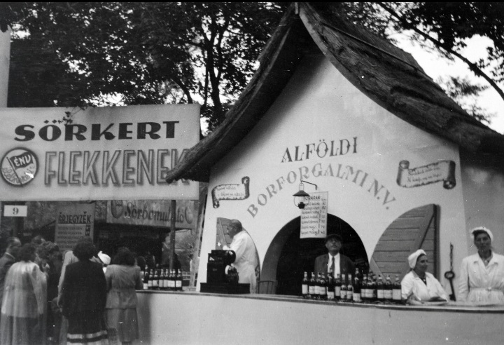 Everyday life in '50s Hungary 2