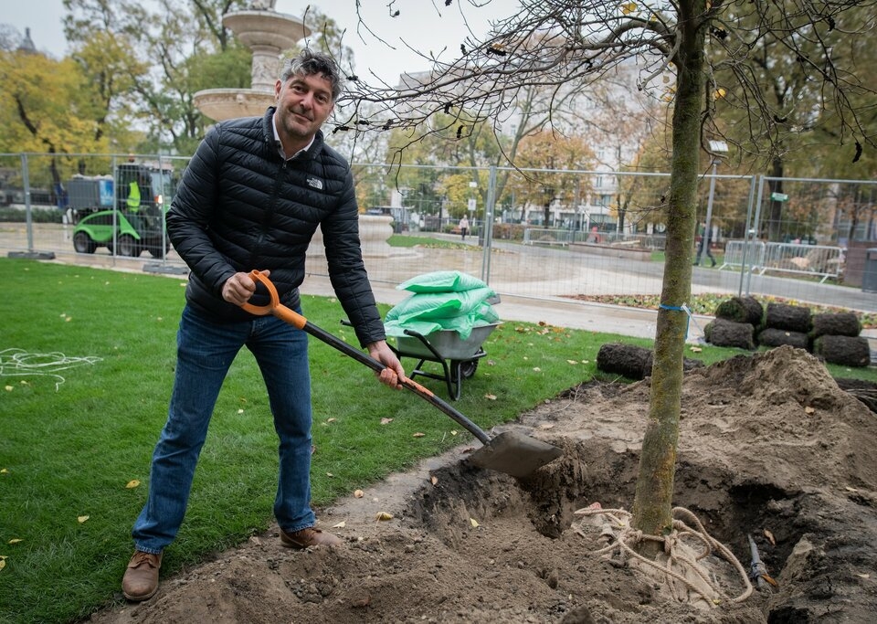 Planting trees Budapest downtown
