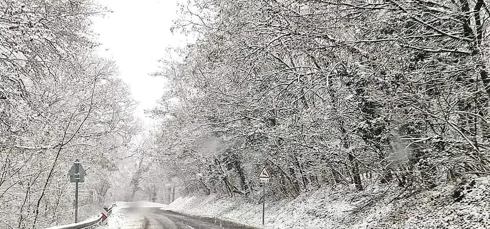ハンガリーに雪が降った