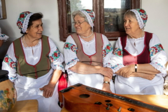 словацькі меншини