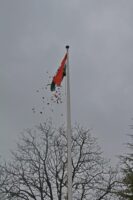 Republic Day, India Embassy, Hungary 2023 (13)