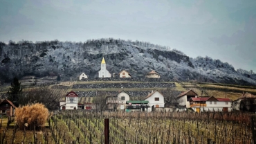 Vigneto Somló, la regione vinicola più piccola dell'Ungheria