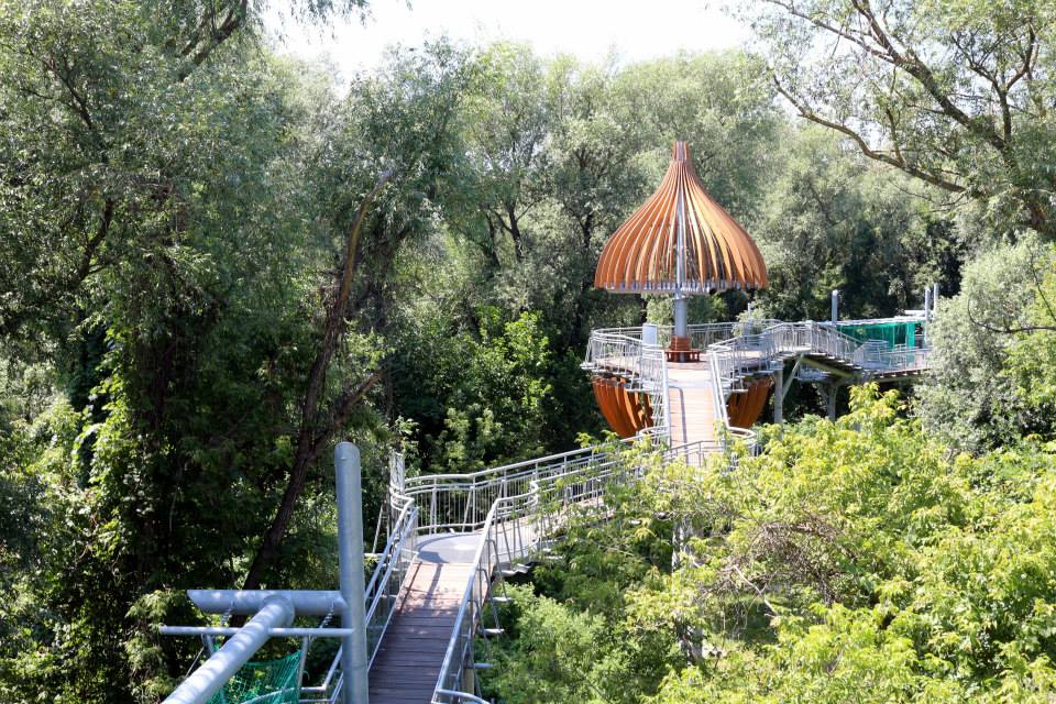 makó canopy walkway 02