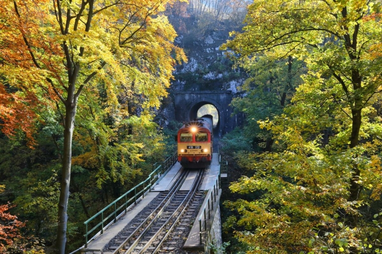 máv train