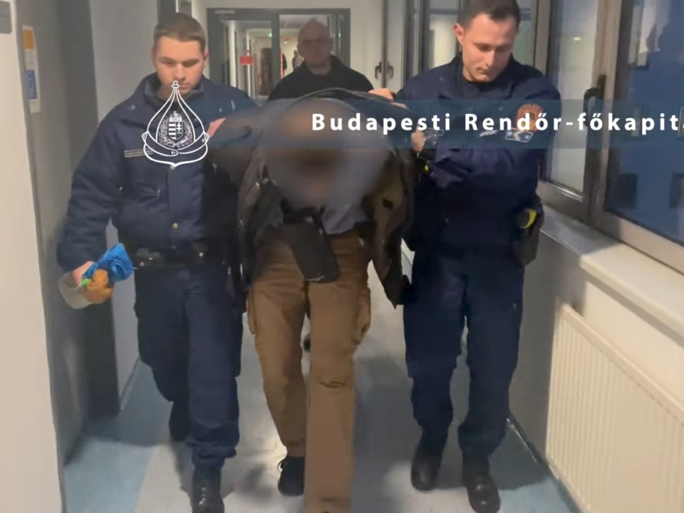 полиция Венгрия антифашисты
