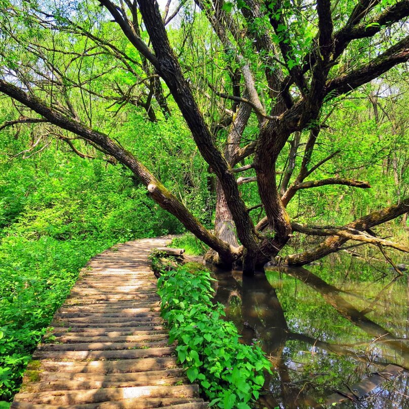 gyada nature trail