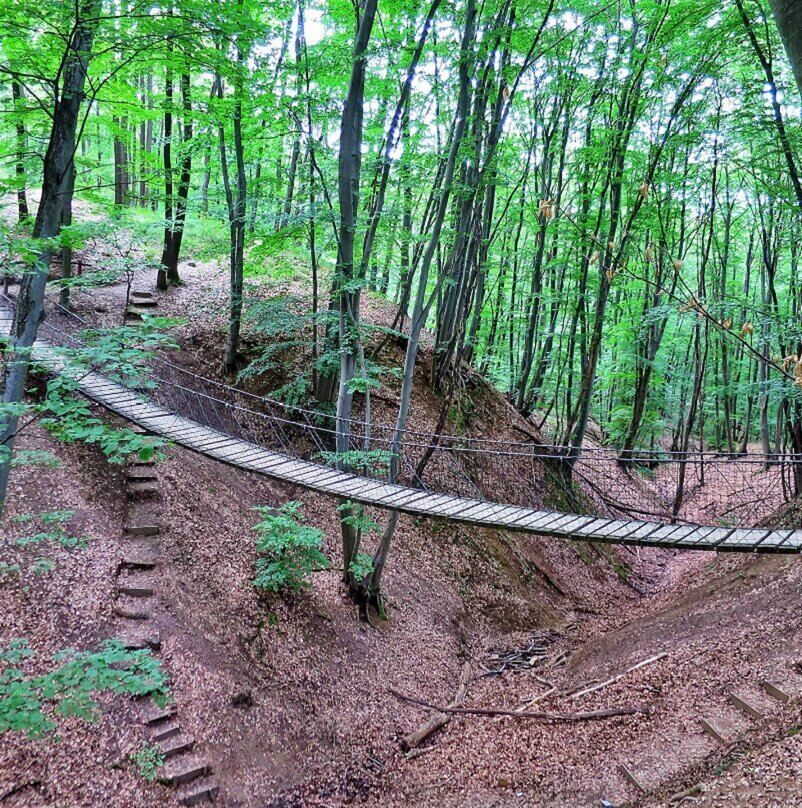 Gyada trail suspension bridge