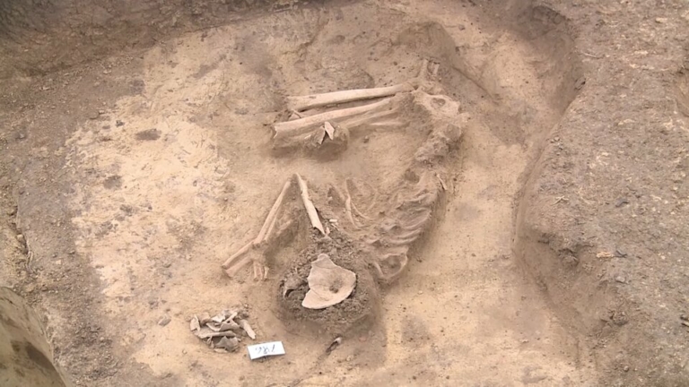 kecskemét excavation skeleton