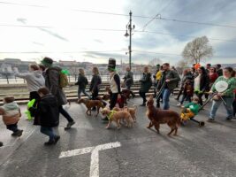 Budapest St Patrick's Day Ireland