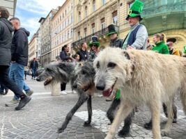 Budapest St Patrick's Day Ireland