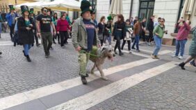 Budapest St Patrick's Day Ireland