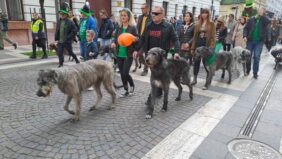 Budapest St Patrick's Day Ireland