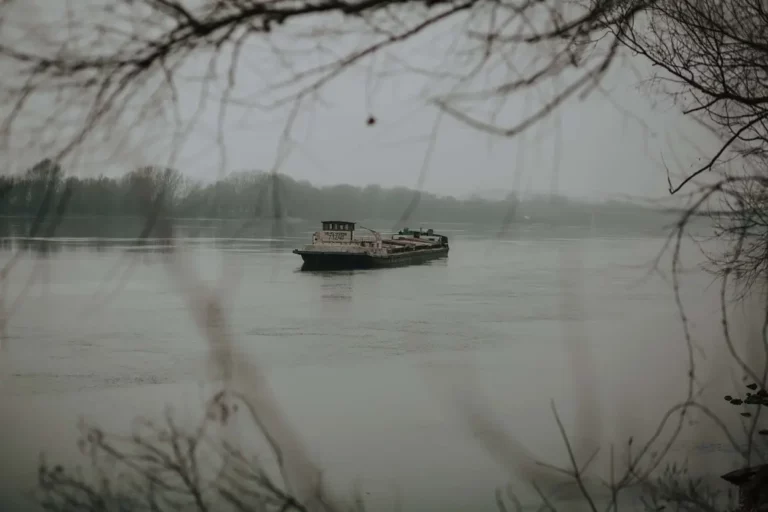 Hungarian cargo ship Germany