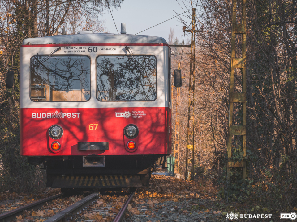 Vlak linija 60 poznata kao zupčasta željeznica u Budimpešti