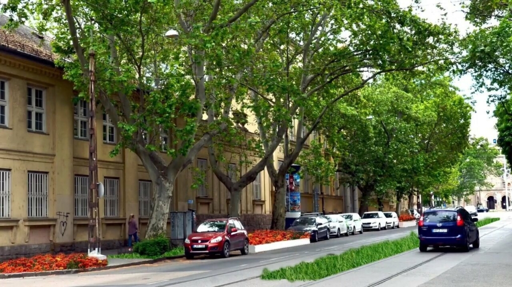 budapest mester street ecologizare főkert
