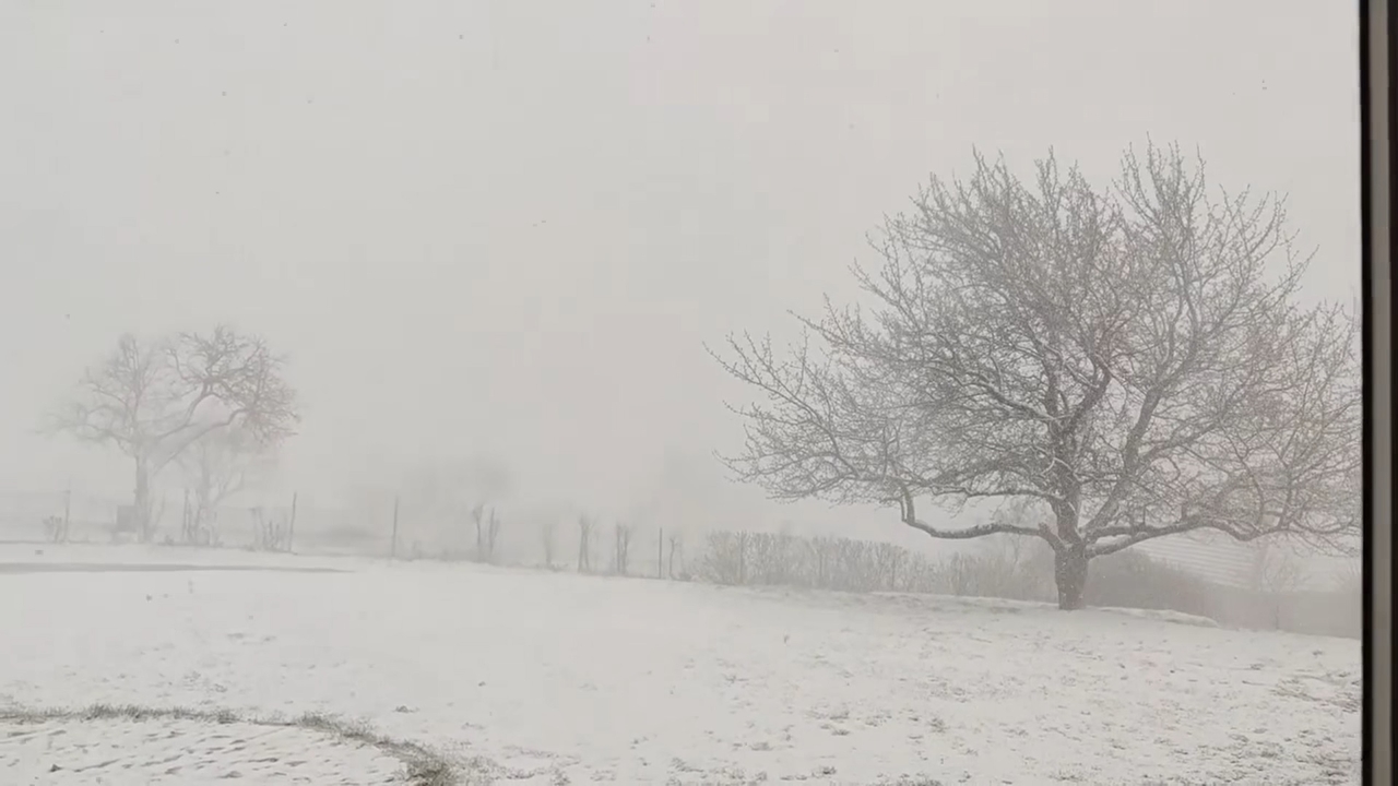 snowfall bakony hungary