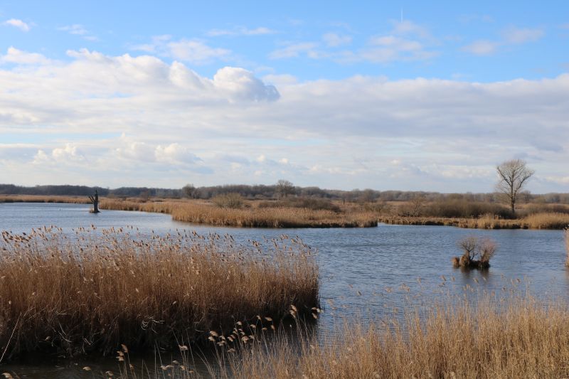 Lake Fertő, hungarian lakes