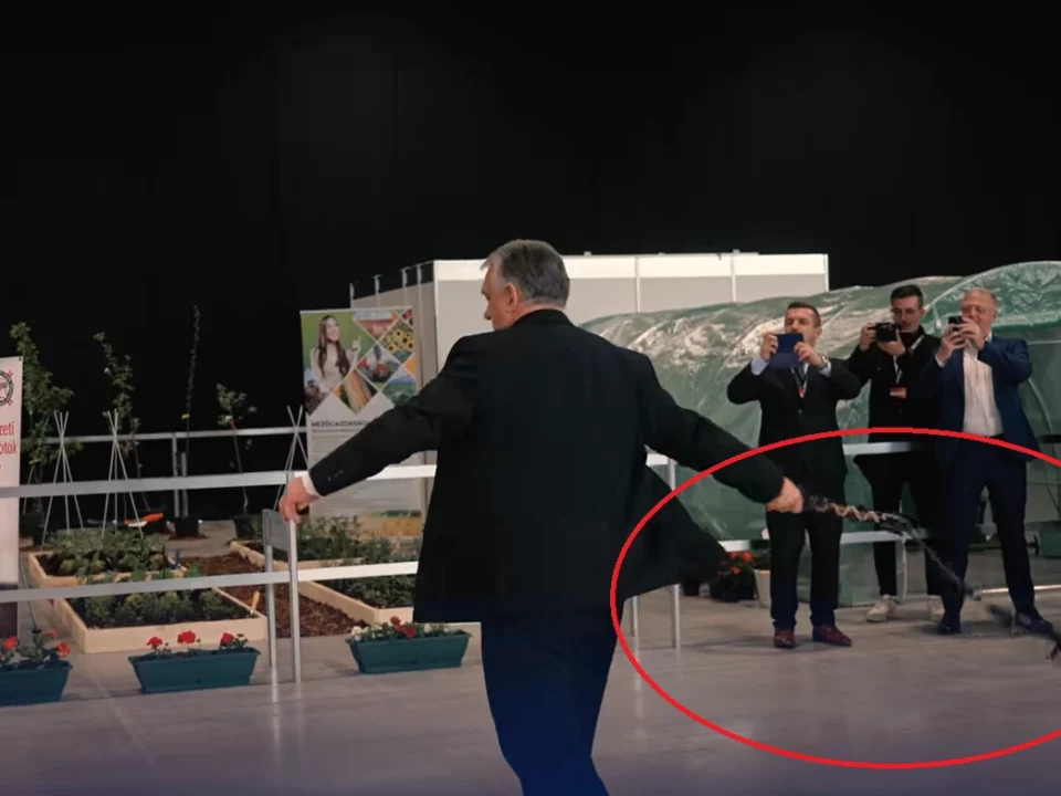 PM Orbán whip