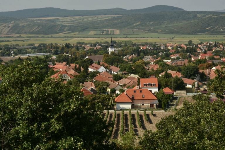 Tokaj wine region