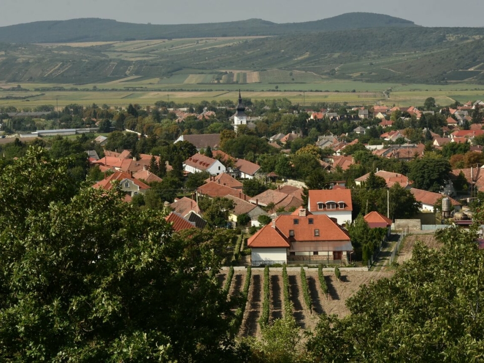 Weinregion Tokaj
