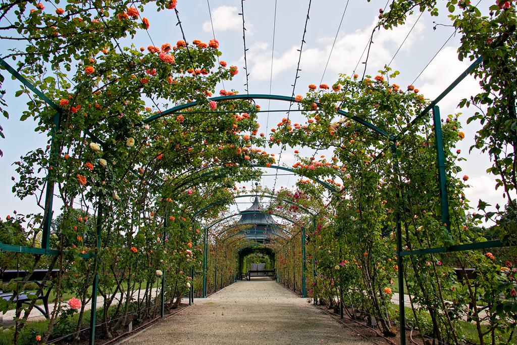 Rose Garden Fertőd Esterházy Castle