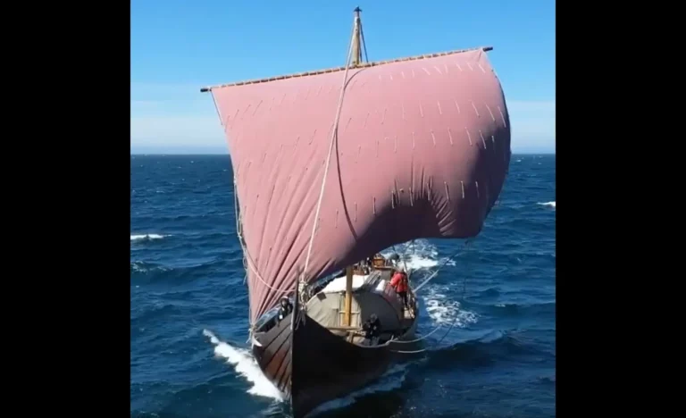 Viking ship Budapest