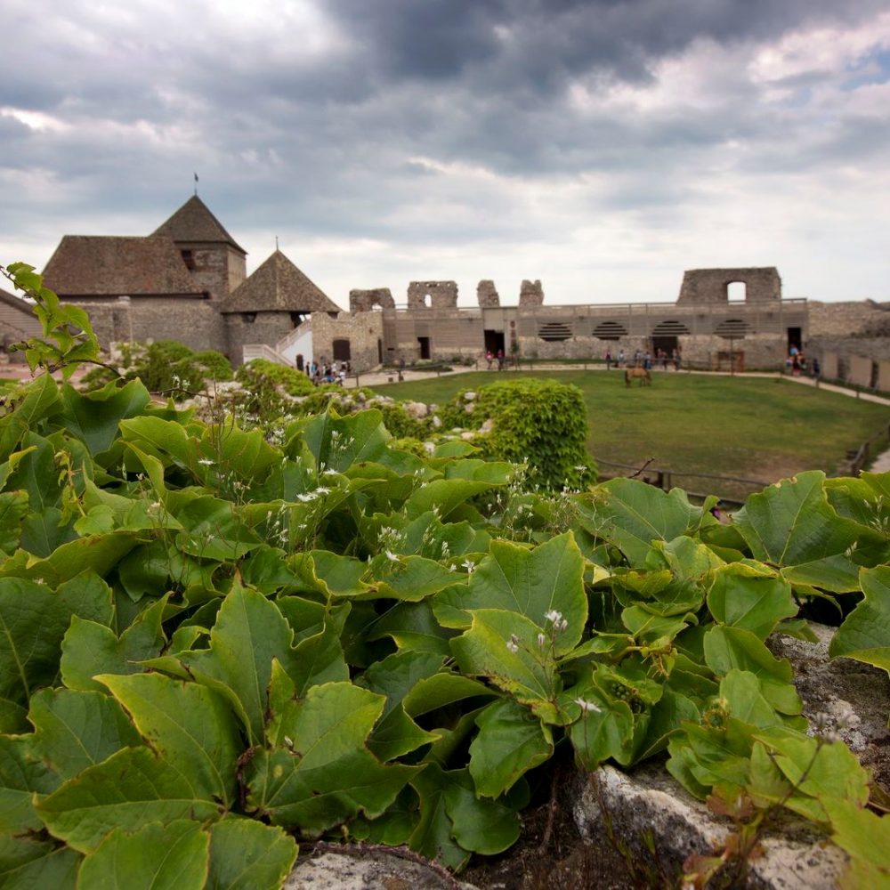 Sümeg castle