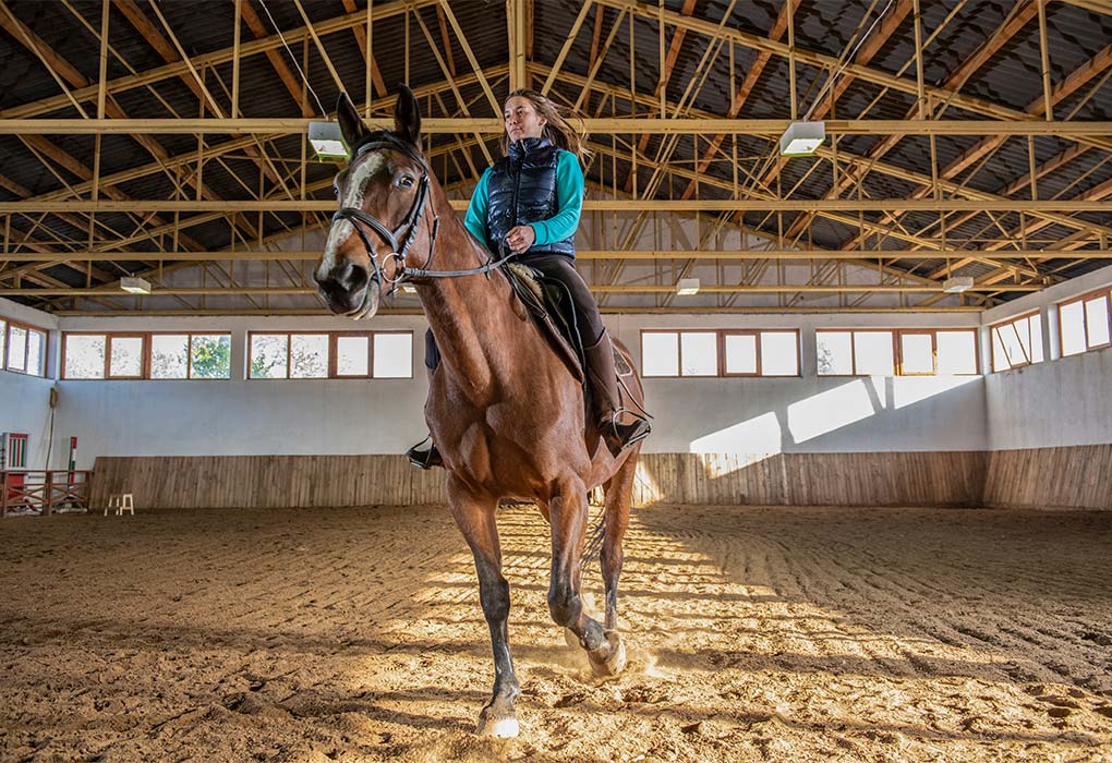 Erdőspuszta adventure park horseback riding