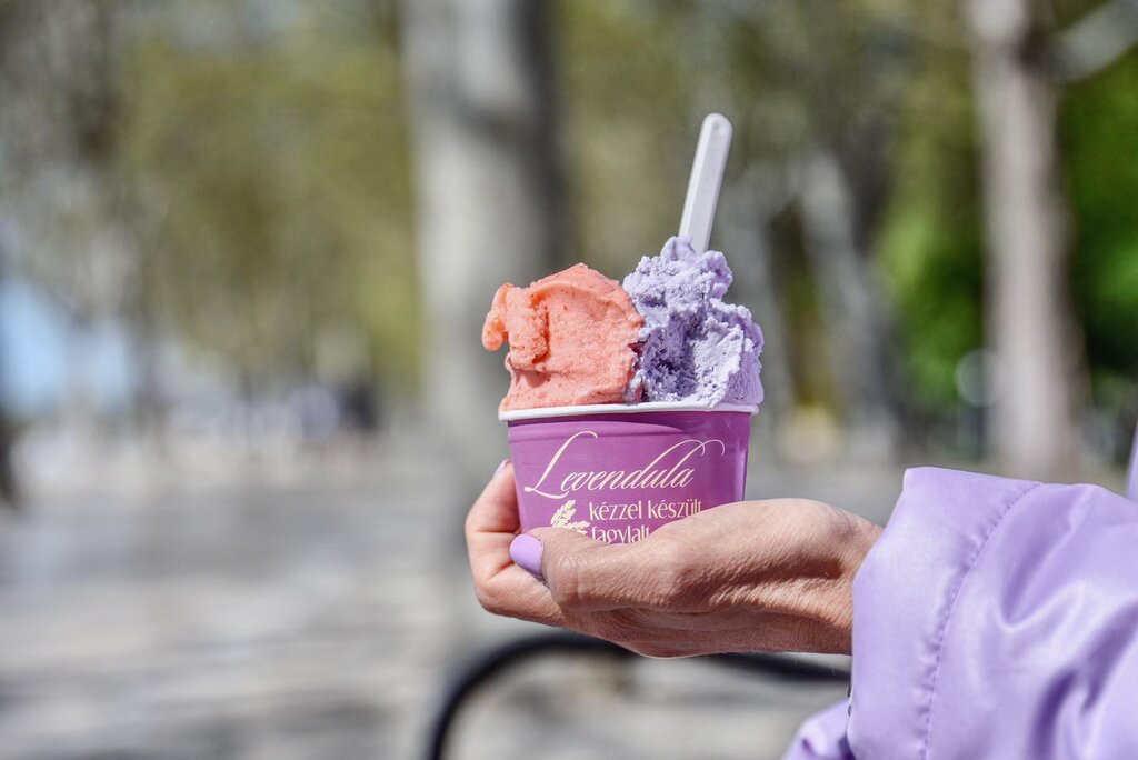 Lavender Ice Cream Shop