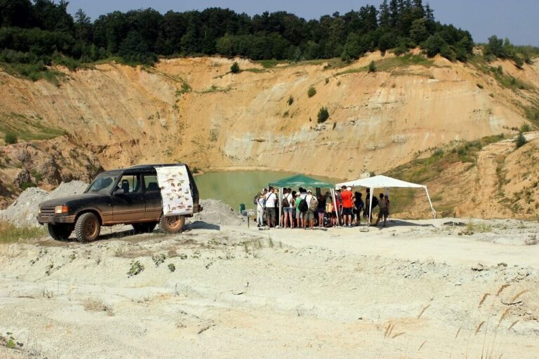 hungary dinosaurs iharkút