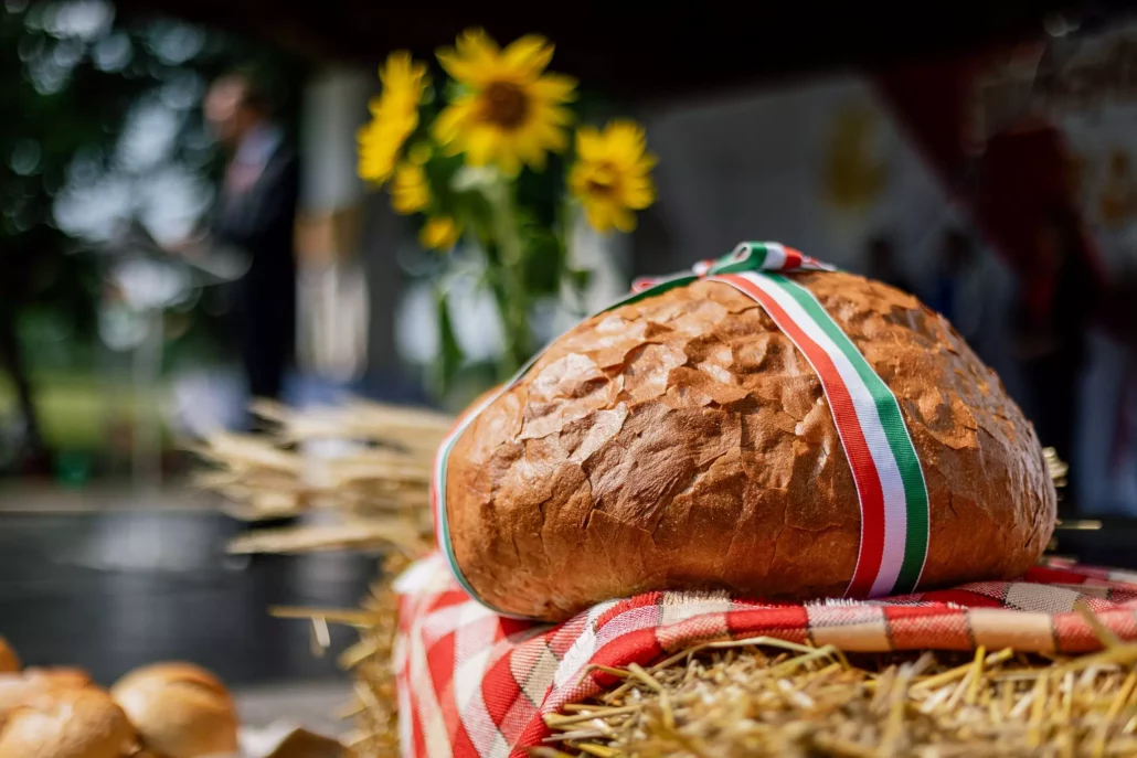 Bread of Hungarians