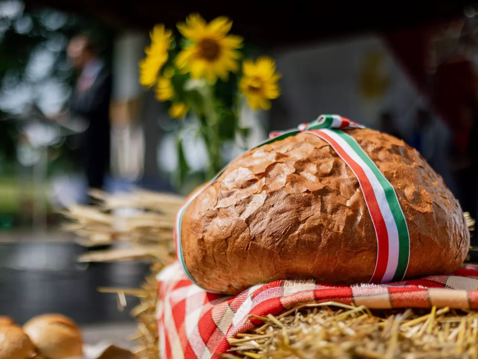 Bread of Hungarians